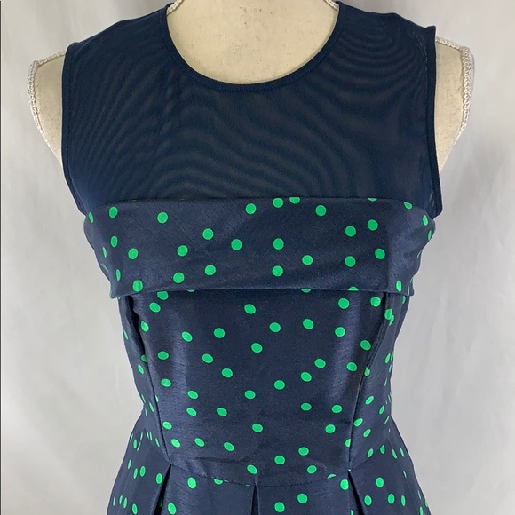 Taylor pleated A-line, mesh dress with pockets! - Picture 3 of 8